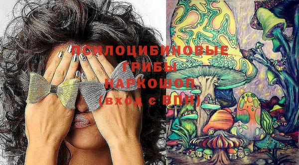 COCAINE Краснослободск