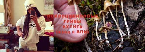 COCAINE Краснослободск