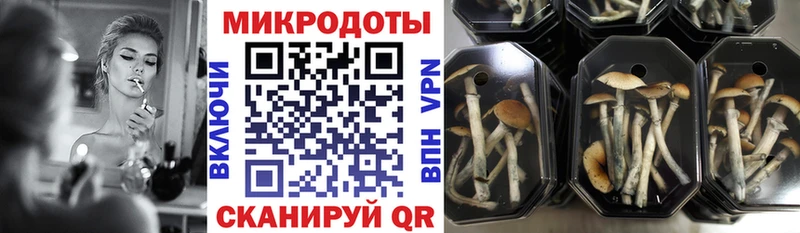 Псилоцибиновые грибы прущие грибы  Фокино 